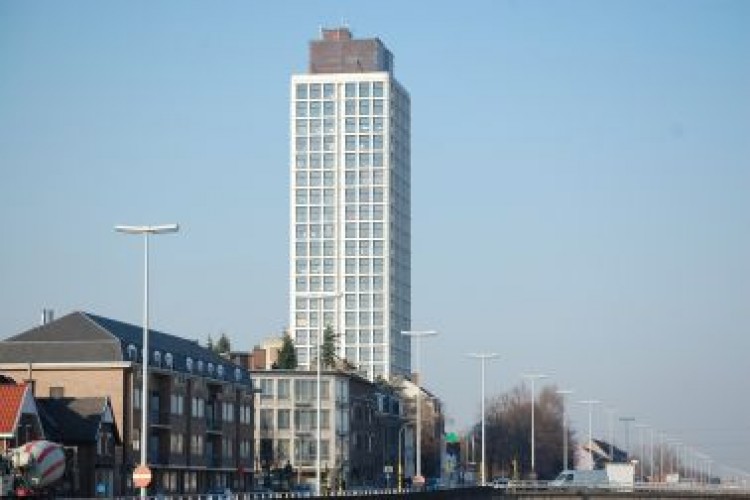 Kantoorruimte Antwerpsestraat, Boom